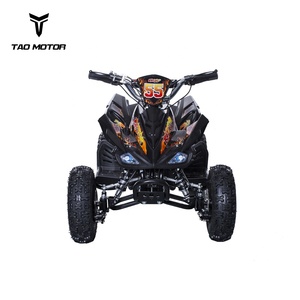 Tao Moteur Mini <span class=keywords><strong>Quad</strong></span> Électrique 36 V 500 W 800 W 1000 W avec DU CE - Product Image 4