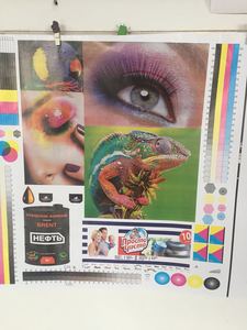 เครื่องพิมพ์เฟล็กโซกราฟี imprimante เทคโนโลยีขั้นสูงสำหรับถุงซิปรูป - Product Image 6