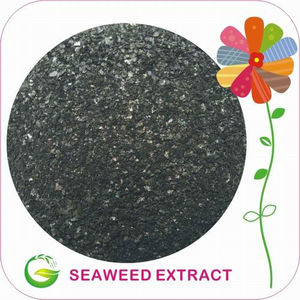 fertilizante de algas en <span class=keywords><strong>la</strong></span> agricultura - Product Image 1