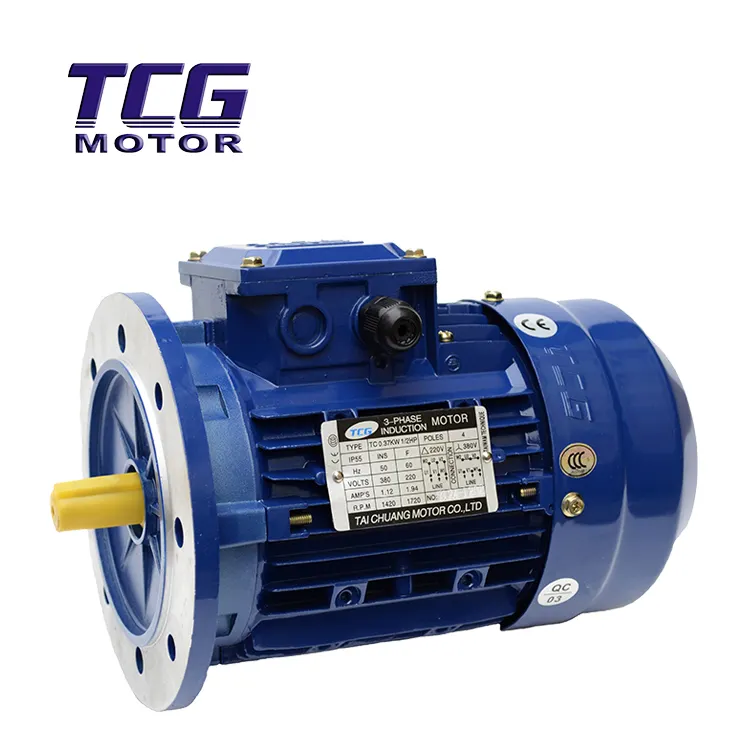 Moteur électrique TCG, moteur de freinage électromagnétique avec frein B5 type vertical de l'usine directement OEM acceptable