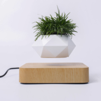 Pot de fleurs hexagonal à lévitation magnétique avec base en bois, bonsaï flottant pour la maison et le jardin, pot de plante d'intérieur moderne