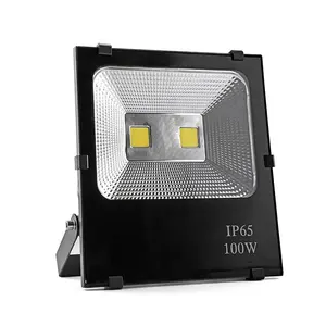 Projecteur led imperméable pour l'intérieur ou l'extérieur, éclairage à large faisceau, 100 w, 100 w, 2 pièces