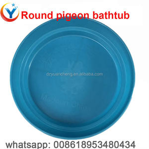Tanque de Natación para Palomas, Bañera para Palomas, Piscina de Juego para Aves - Product Image 3