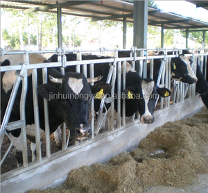 Bloqueador de Cuello para Ganado Vacuno, Bloqueador de Cabeza para Granja de Vacas, 3m-4 Vacas - Product Image 1
