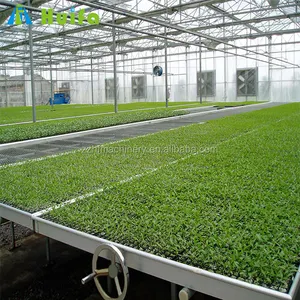 Agricultural seed vegetable flower greenhouse grow table with durable rack