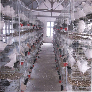 Güvercinler için 2024 tasarım örgü tel üreme kafesi - Product Image 2