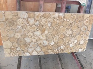 Table en bois de jade naturel, plaque de finition en bois pétrifié