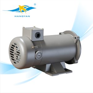 Hangyan 12v <span class=keywords><strong>dc</strong></span> 높은 토크 낮은 rpm 브러시 전기 <span class=keywords><strong>dc</strong></span> 모터 보트
