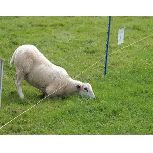 Clôture électrique en plastique d'occasion, équipement de ferme, clôture électrique, tige pour clôture d'animaux, à bas prix