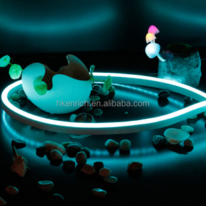 230 v delgado LED Neon Flex luz de enriquecer iluminación - Product Image 2