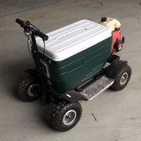 Prix de gros d'usine, scooter refroidisseur à moteur sans balais à essence 4 temps 40cc, capacité de 48L, pour adultes, utilisation en extérieur