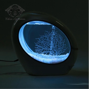 <span class=keywords><strong>2018</strong></span> al por mayor creativo Tailandia Betta Fish Tank de Betta peces vivos - Product Image 2