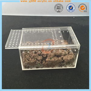 Acryl Schuifdeksel Doos Voor Reptiel Met Air Gaten Plastic Acryl Reptiel Kooi Met Magneet Voor Spider Lizard Gecko - Product Image 2
