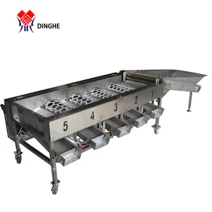 Hiệu quả cao blueberry sorter/khoai tây trái cây dâu tây phân loại/quả việt quất chấm điểm máy