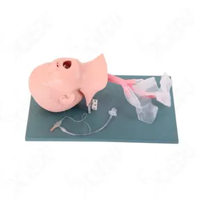 High Quality Child Trachea Intubation Model Dummy Child Simulator