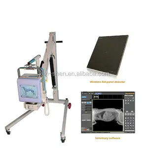 Top qualité système DR Offre Spéciale 4kw 60mA haute fréquence vétérinaire Radiographie Numérique X Ray YSX040-C