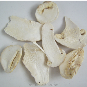 Precios de Mercado para los Hongos Matsutake en Rodajas Liofilizados Detan - Product Image 4
