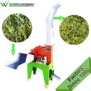 Most selling products tornado wheatgrass juicer sprouts where can u buy alibaba supplier