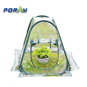 Poray Pop up Mini Pvc Greenhouse <strong>Plant</strong> <strong>Cover</strong> for Flowers and Succulent <strong>Plants</strong> - Product Image 1