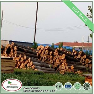 China cumtomized paulownia <span class=keywords><strong>madera</strong></span> <span class=keywords><strong>de</strong></span> balsa <span class=keywords><strong>de</strong></span> <span class=keywords><strong>madera</strong></span> <span class=keywords><strong>de</strong></span> paulownia para kite - Product Image 3