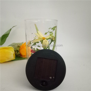 Cylinder Glass Light-up <strong>Terrarium</strong> <strong>Kit</strong> for Kids with LED Solar Light Lid - Product Image 4