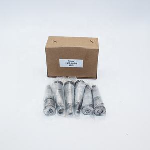 Diesel Pompa Injeksi Bahan Bakar Plunger Element <span class=keywords><strong>2</strong></span> 418 455 299 - Product Image 6