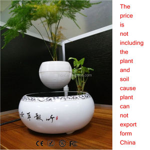 Levitando Japonés árboles bonsai artificiales con semillas de bonsai - Product Image 4
