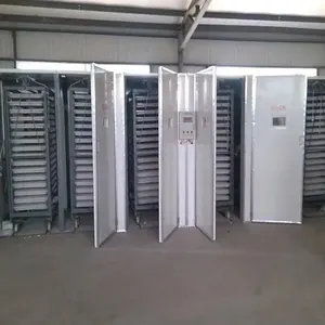 5280 New Design Solar Power Setter and Hatcher Machine/ Poultry Chicken Quail Egg Incubators/Brooder for Sale