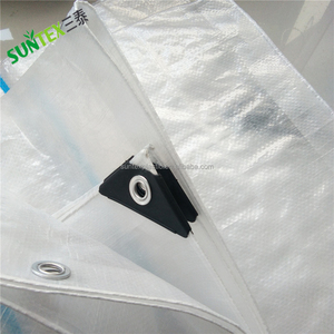Cubierta protectora <span class=keywords><strong>de</strong></span> uvas <span class=keywords><strong>de</strong></span> mesa Película <span class=keywords><strong>de</strong></span> polietileno <span class=keywords><strong>de</strong></span> plástico 120GSM Película tejida transparente reforzada con PE - Product Image 3
