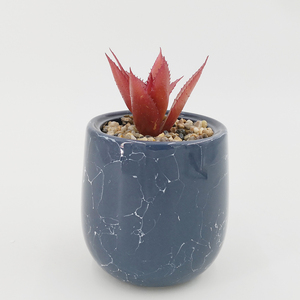 Offre Spéciale conception personnalisée non peint <span class=keywords><strong>hobby</strong></span> d'intérieur en céramique <span class=keywords><strong>pots</strong></span> de plantes succulentes - Product Image 1