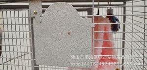<span class=keywords><strong>Cage</strong></span> d'élevage des oiseaux A09, <span class=keywords><strong>cage</strong></span> pour oiseau perroquet, chat et oiseau, à la mode - Product Image 4