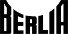 BERLIA STEELS PRIVATE LTD. logo