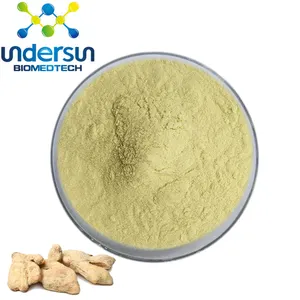 Undersun supply free sample ginger dry extract raw material organic ginger juice powder