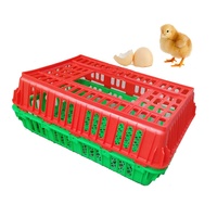 Cage à poulets pliable, empilable et recyclable en plastique avec côtés ventilés