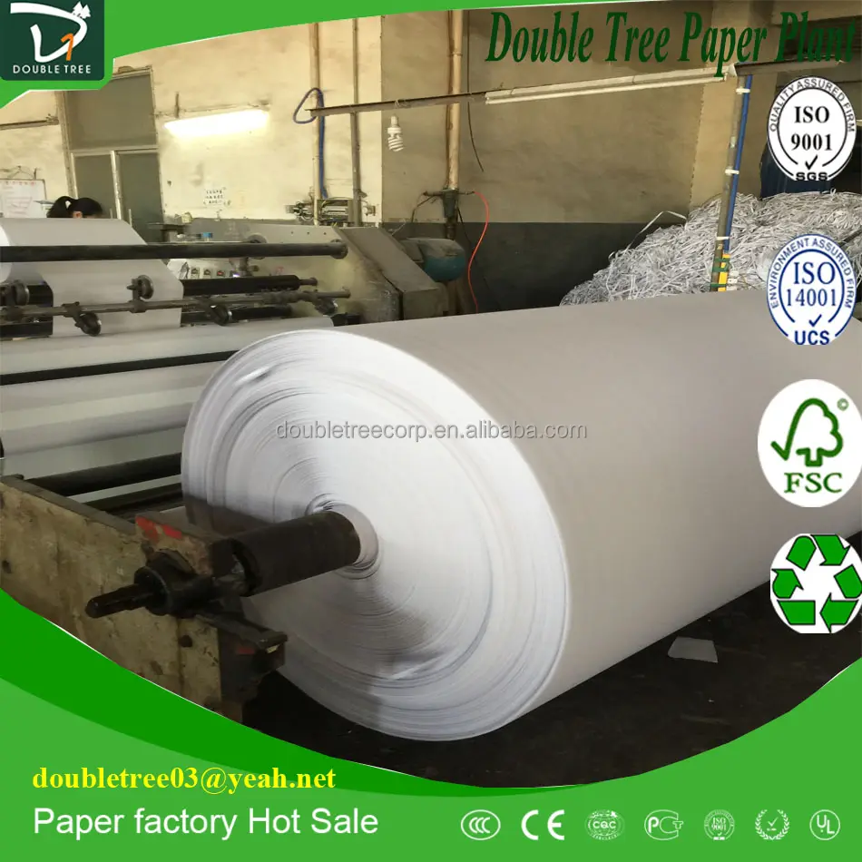 Thermal paper Roll Jumbo 55gsm 405gsm populer di pasar Mesir