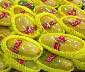apple <strong>Fruit</strong> <strong>Foam</strong> Packaging <strong>Netting</strong> <strong>Machine</strong> - Product Image 4