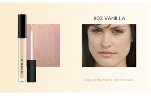 Vente en Gros Correcteur Liquide Haute Définition Vegan hydratant longue durée Blanchissant Visage Maquillage Correcteur 4 couleurs - Product Image 5