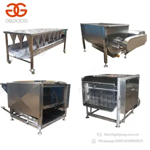 Scalding Defeathering Hanger Poultry Farm Line Machine Quail Slaughtering Processing Plant Chicken Slaughter House Equipment