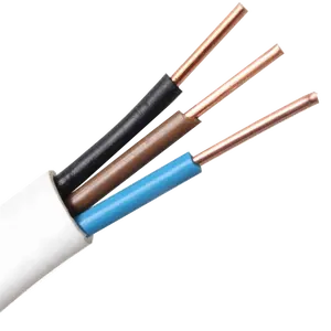 1.5mm 2.5mm 4mm Copper PVC Insulated and Sheath Twin Flat Electrical Wire Cable
