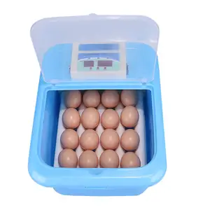 12 Eier automatischer Brut apparat von hoher Qualität