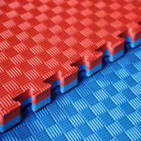 Seconde main judo taekwondo tigre tapis de puzzle