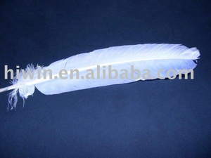 Turchia Piuma <span class=keywords><strong>Ali</strong></span> <span class=keywords><strong>con</strong></span> il Nero/marrone punta - Product Image 3