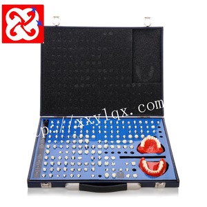 Ensemble complet de Préparé butée et cavité modèle de dents de démonstration - Product Image 1