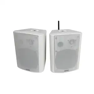 Aktif duvara monte 2 yönlü kutusu hoparlör amplifikatör 2x30 w çifti ile 2.4G Mikrofon PPT işaretçi duvar paneli bağlantı