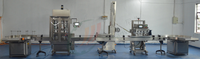 Machine automatique de capsulage de bouteille de bière en acier inoxydable, machine de cachetage de feuille d'aluminium de ventouses