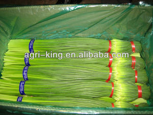 <span class=keywords><strong>Tige</strong></span> de projection d'<span class=keywords><strong>ail</strong></span> vert frais, 1 pièce, à vendre - Product Image 5