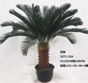Sago Cycas พืชบอนไซเทียม,ไม้กระถางจำลองสูงราคาส่งโรงงาน Cycas - Product Image 1