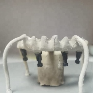 <span class=keywords><strong>PEEK</strong></span> peletler diş protez - Product Image 4