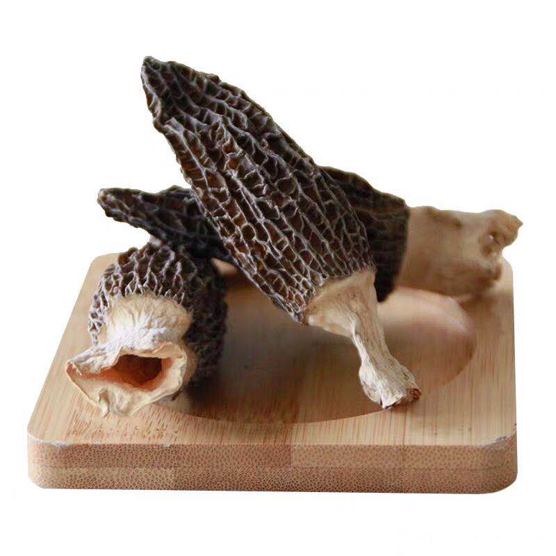 Promoción spanish, Compras online de spanish promocionales, morel