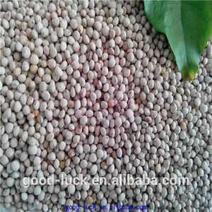 <span class=keywords><strong>Chino</strong></span> de alta calidad de semilla de perilla( 2014 cosecha) - Product Image 3